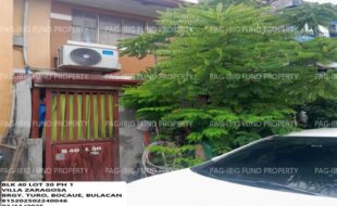 fil1520250312264