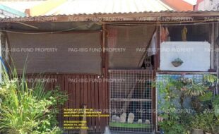 fil1520250315093