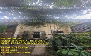 fil1520250318350