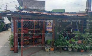 fil1520250319450