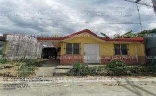 fil1520250405060