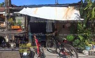fil1520250408238