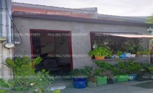fil1520250424411