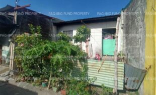 fil1520250430174