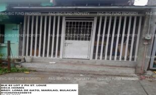fil1520250506211