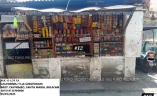 fil1520250506354