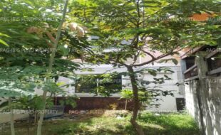 fil1520250510024