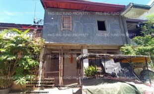 fil1520250527133