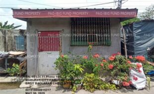 fil1520250603262