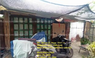 fil1520250603388