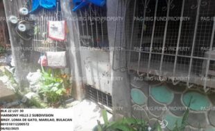 fil1520250607096