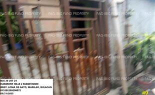 fil1520250607109
