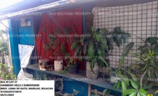 fil1520250607110