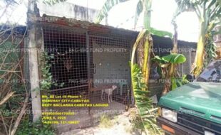 fil1520250609158