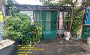 fil1520250609398