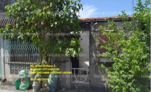fil1520250616237