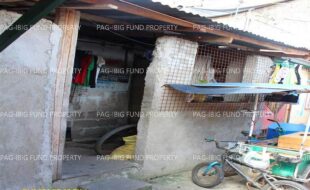 fil1520250616255