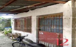 fil1520250617107