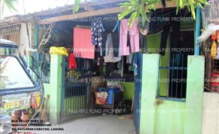 fil1520250619245