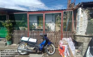 fil1520250619265