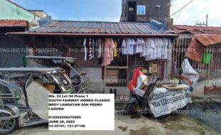 fil1520250630069