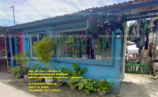 fil1520250707011