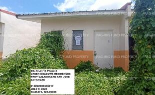fil1520250711052