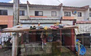 fil1520250718215
