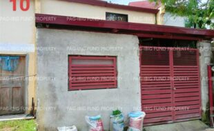 fil1520250806130