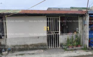 fil1520250811520