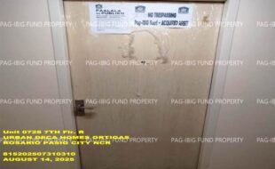 fil1520250815485