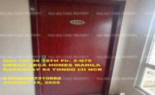 fil1520250818695