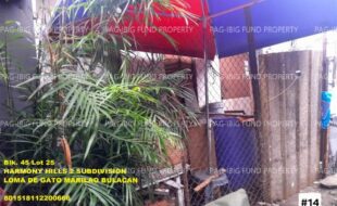 fil1520250819060