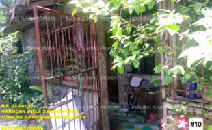 fil1520250820039