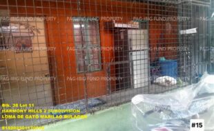 fil1520250820050