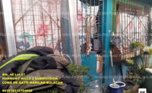 fil1520250827030