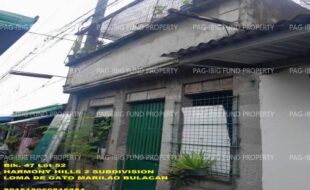fil1520250827118