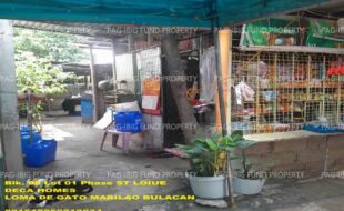fil1520250827418