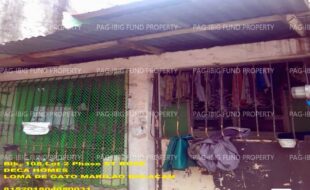 fil1520250827426