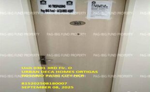 fil1520250909045