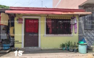 fil1520250929297