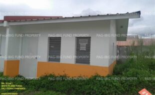 fil1520251014193