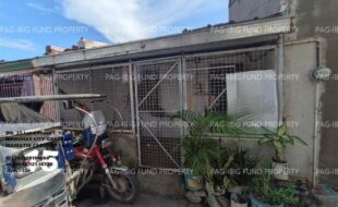 fil1520251017107