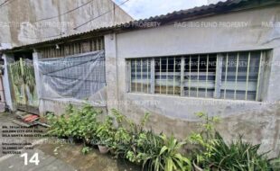 fil1520251020251