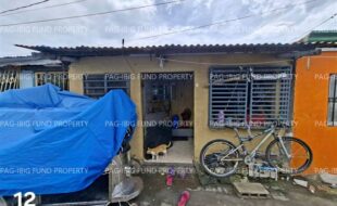 fil1520251105145
