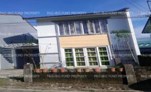 fil1520251113082