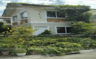 fil1520251209390