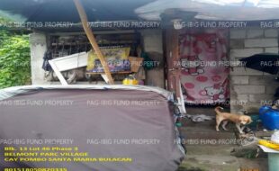 fil1520251222146