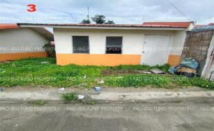 fil1520260107172