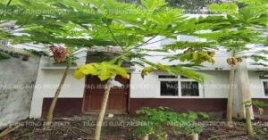 Pag-IBIG Foreclosed Town House - Lot 9 Blk. 1 LATRIA HOMES PHASE 2 TIMALAN BALSAHAN, NAIC, CAVITE, 4110 - 2nd Public Auction on May. 18, 2026 - May. 22, 2026